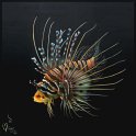Pazifischer Rotfeuerfisch; Acryl auf Leinwand;
120 x 120 cm
